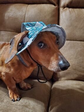 Dog Sun Hat Tropical Leaf Print - Adjustable Chin Strap Sz S/M